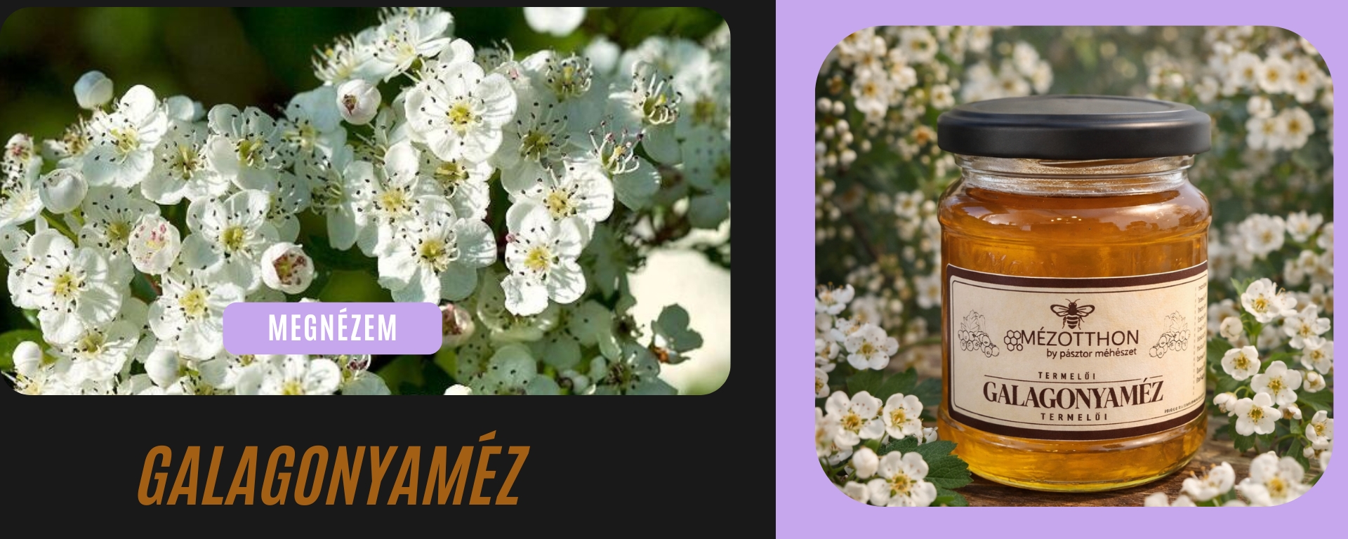 mézotthon by pásztor méhészet